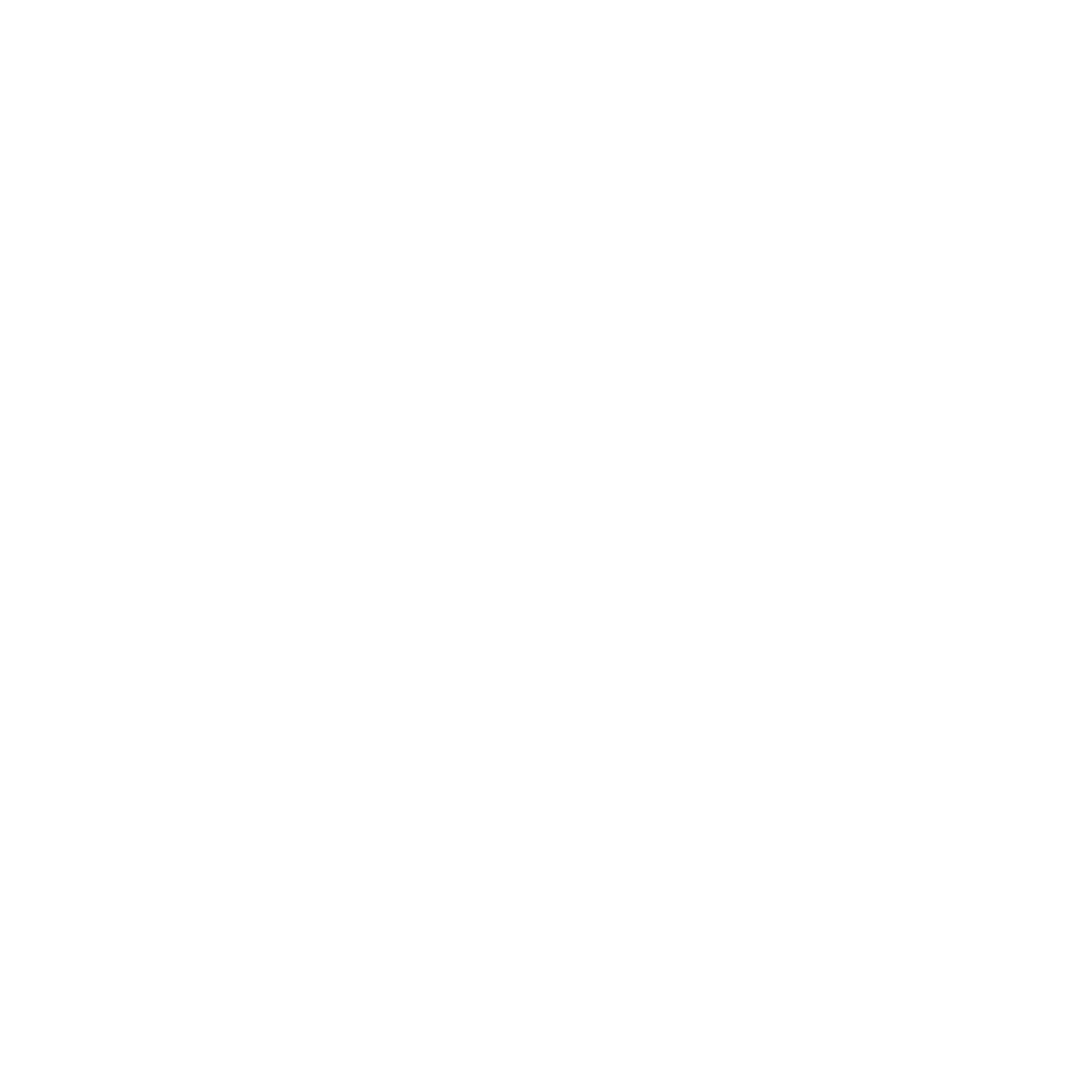 Derbystar Logo