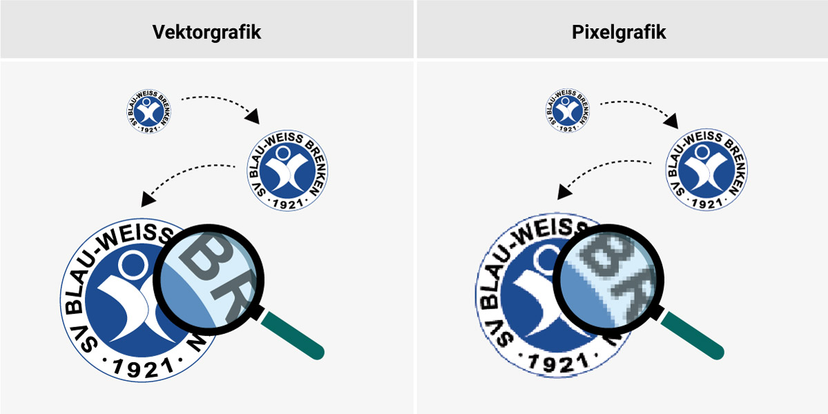 Vergleich: Vektorgrafik vs. Pixelgrafik